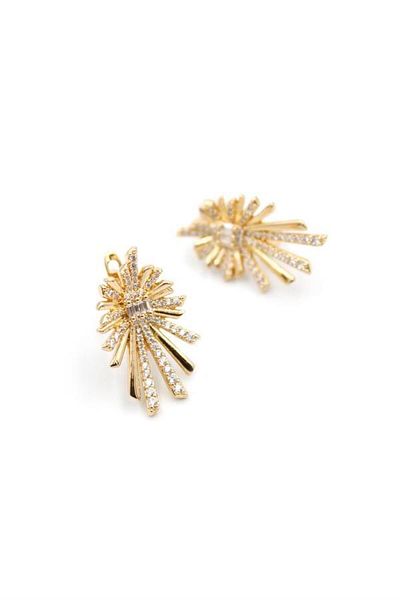 MR RZN STORE Jewelled Earrings - Rose