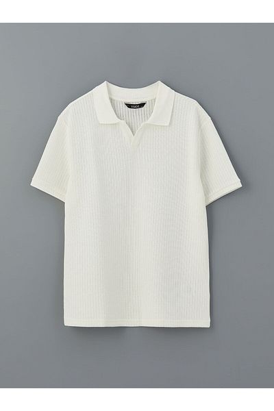 LC Waikiki Ανδρικό μπλουζάκι με κοντό μανίκι Polo λαιμόκοψη