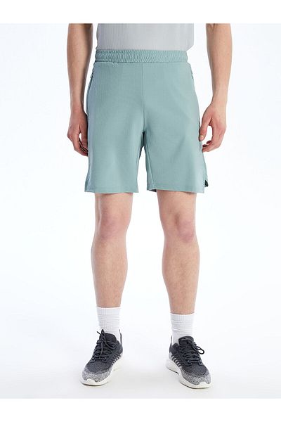 LC Waikiki Standard Fit Men's Shorts