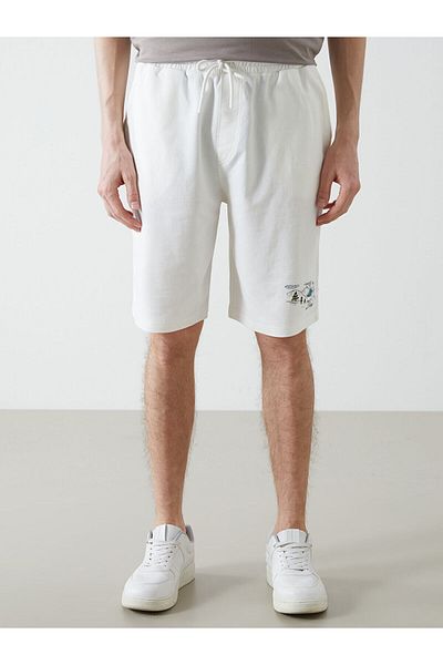 LC Waikiki Standard Fit Men's Shorts
