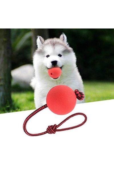 REDz Accessories Jucărie cu minge și sfoară, pentru câini, mărimea S, material textil, cauciuc, roșu