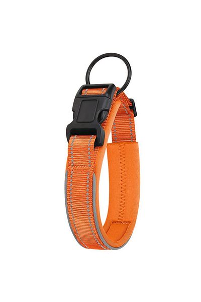 REDz Accessories Zgardă reflectorizantă pentru câini, mărimea S, reglabilă, nailon, portocalie