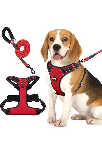 REDz Accessories Set ham și lesă, pentru câini, mărimea M, benzi reflectorizante, mâner de control, material textil, roșu