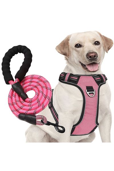 REDz Accessories Set ham și lesă, pentru câini, mărimea L, benzi reflectorizante, mâner de control, material textil, roz