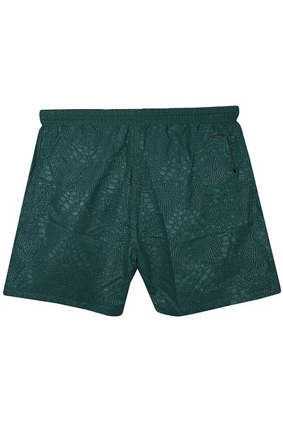 tambattal Men's Plus Size Swim Shorts Seersucker Printed