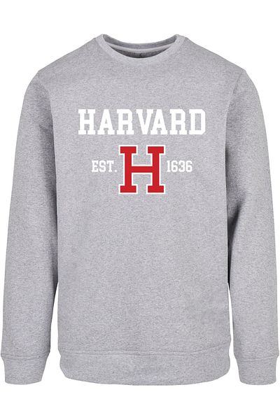Merchcode Damen Ladies Harvard University - Est 1636 Hoody