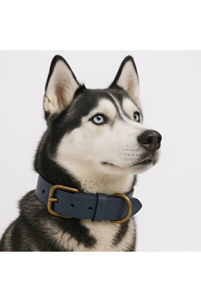 Bakani Leather Kişiye Özel Köpek İsimli Boyun Tasması, Hakiki Vejetal Deri, Dayanıklı Malzeme, Paslanmaz Çelik