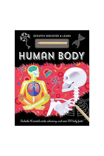 Imagine That Human Body - Scratch, Discover And Learn (İNSAN VÜCUDU)
