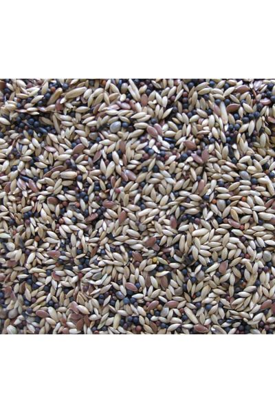 Deli Nature Canary Birds Mixed Food by Daily Nature 4kg