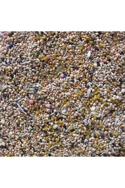 Deli Nature Daily Nature Zebra Finch Mixed Food 800g