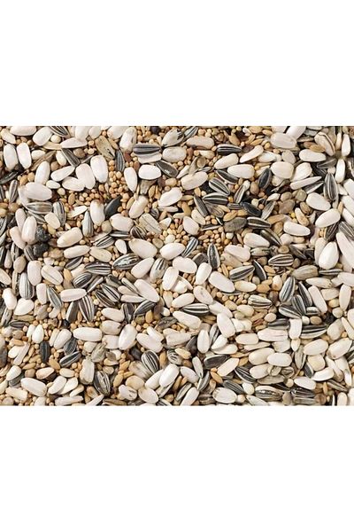 Deli Nature مزيج كاروان بدون فيتامينات من ديلي نيتشر 20 كجم