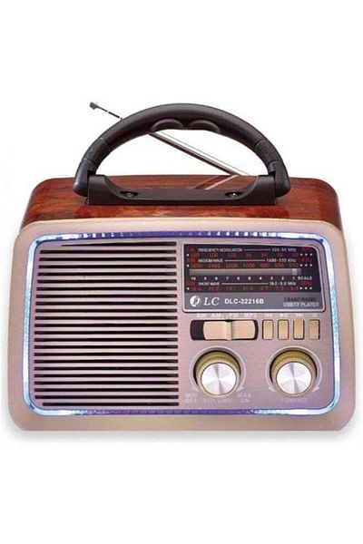 DLC Usb Mini Radio Hi Fi Speaker With Bluetooth And Disco Light 2 Years