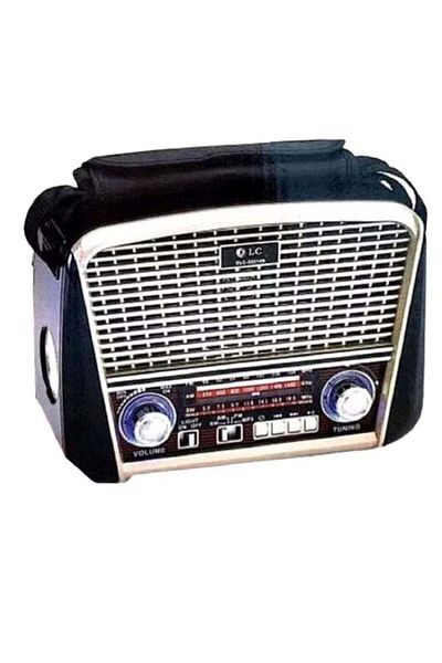 DLC Speaker with radio and bluetooth