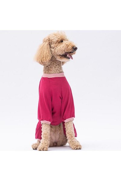 Pawstar Go Teddy Bear Medium and Large Breed Dog Pajamas - Dog Jumpsuit - Dog Clothing (15 Kg-45 kg)