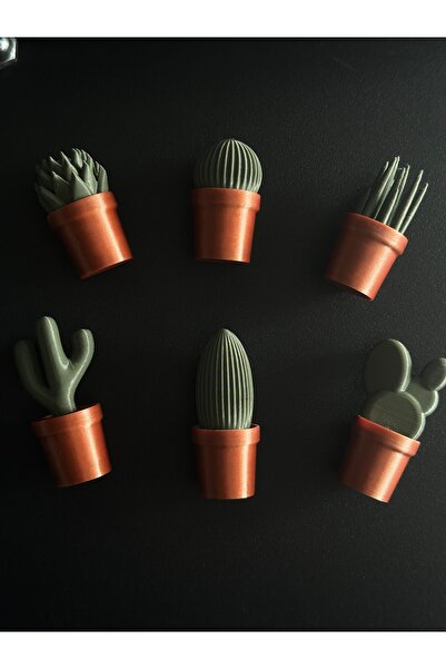 Minimal3D Mini Kaktüs Figürlü Buzdolabı Magnet Seti (6'lı)