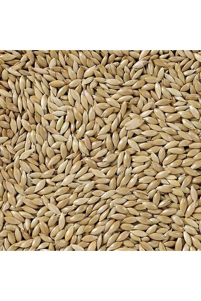 Deli Nature Daily Nature Canary Seeds