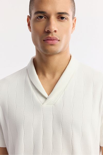 Avva Men's Ecru Shawl Collar Striped Jacquard T-Shirt A51Y1071