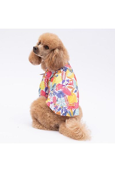 Pawstar Miami Cat Dog Shirt - Cat Dog Apparel