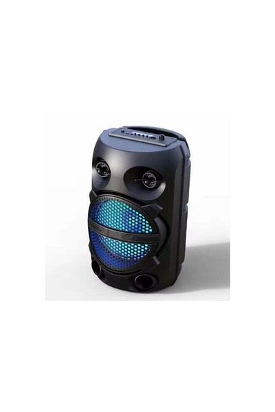 DLC Portable Bluetooth Speaker (USB / TF Karaoke Slots) Support Microphone