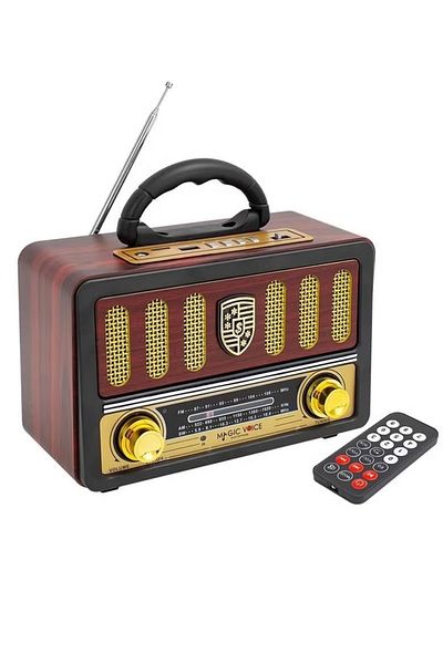 Denx Rechargeable Radio with Remote Control, Large Capacity Battery, Support Bluetooth DX2441