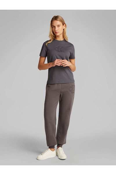 Calvin Klein Women's Short Sleeve Crew Neck Ck Text Detail Reqular Fit Gray T-Shirt J20J 225256 -Pmp