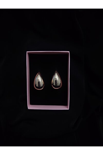 mixify Women's Rose Color Drop Model Shiny Steel Earrings