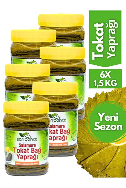 Sarıbahçe Tokat Yaprağı 1,5 Kg - 6'lı Paket Yeni Sezon Hakiki Erbaa Yaprağı