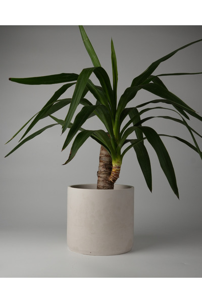 Kaju Creative Dekoratif Büyük Boy Beton Saksı - Silindir 4.5L  - 20x18 CM