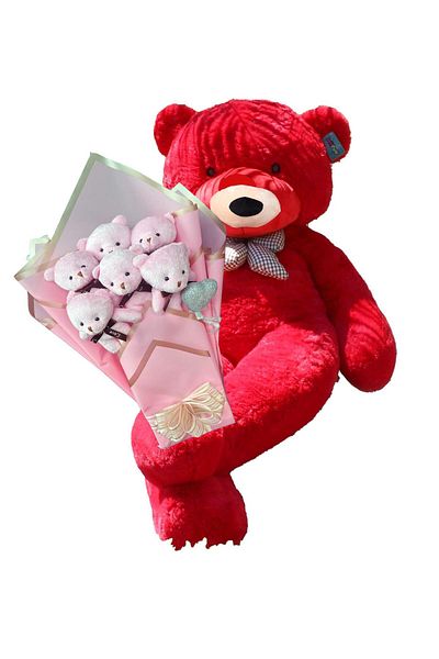 Sole Pink Concept Romantic Plush Teddy Bear Bouquet with Cute 90 cm Plush Bear