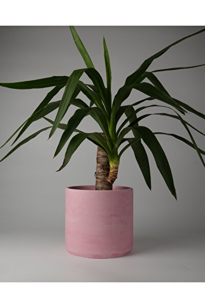 Kaju Creative Dekoratif Büyük Boy Beton Saksı - Mermer Desenli- Silindir 4.5L...