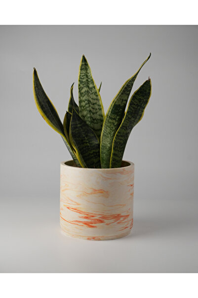 Kaju Creative Dekoratif Beton Saksı - Orta Boy Silindir - 13x15CM - 2 Litre
