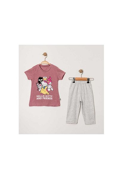 TRENDİMİZBİR Girl's Cute Characters Printed Plum Short Sleeve T-Shirt Gray Leggings Bottom Top Set