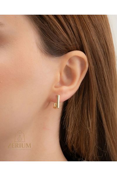ZERİUM Rectangle Form Gold Color Plated Minimal Stylish Women Hoop Earrings 316L