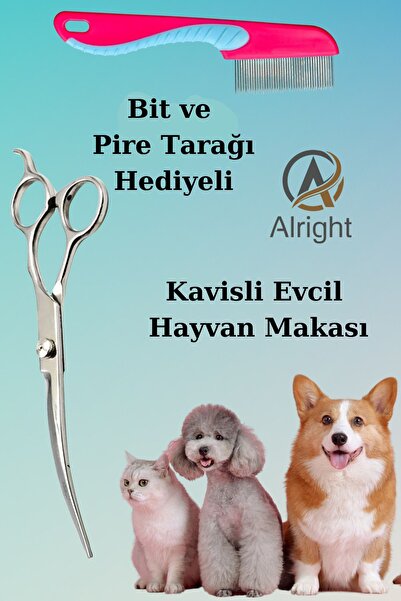 Alright Kavisli Gümüş Profesyonel Evcil Hayvan Kedi ve Köpek Tasarım Makası B...