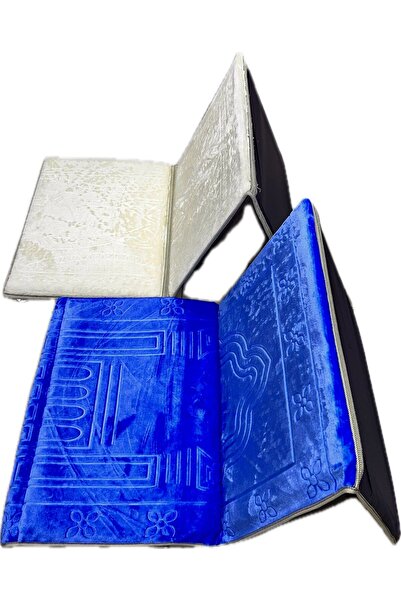 Generic 2 rugs and cushions in one