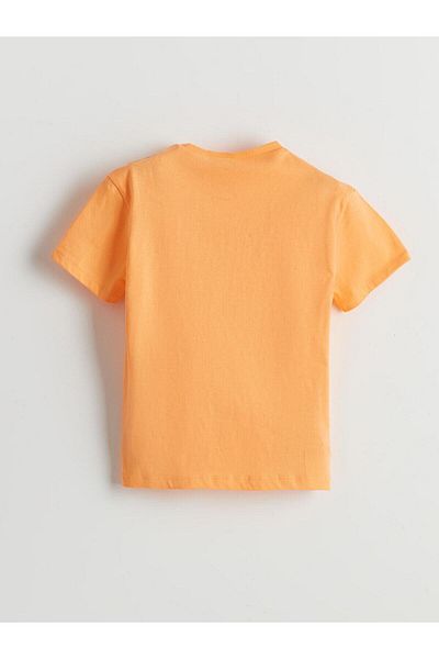 LC Waikiki Lcw Kids Crew Neck Printed Boys' T-Shirt (S5)