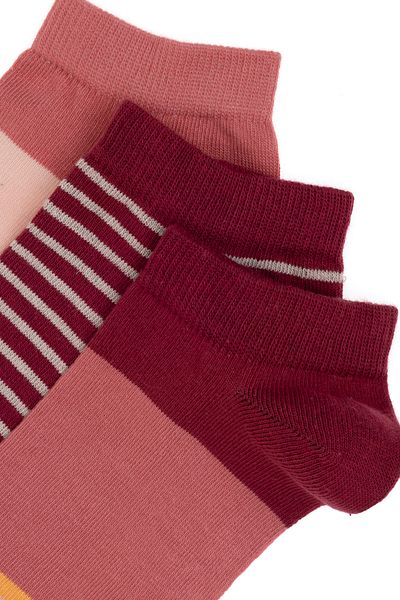 U.S. Polo Assn. Women's 3-Pack Booties Socks 50311366 -Vr223
