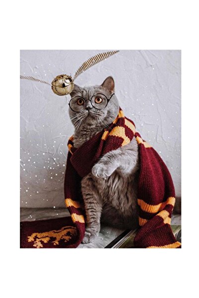 Pastelya Sayılarla Boyama Seti Çerçeveli Kasnaklı Atkılı Kedi 40x50