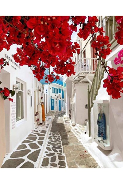 Pastelya Sayılarla Boyama Seti Çerçeveli Kasnaklı Bodrum Evleri 2 50x65