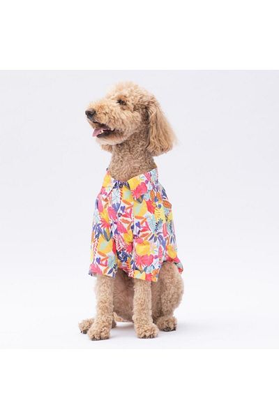 Pawstar Miami Medium and Large Breed Dog Shirt - Dog Clothing (15 Kg-45 kg)