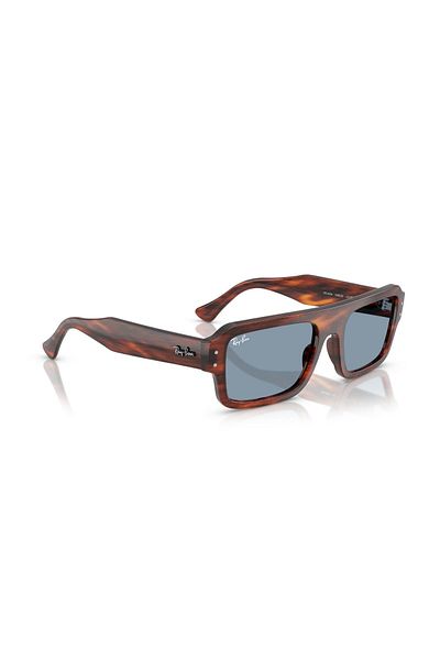 Ray-Ban Brown Sunglasses