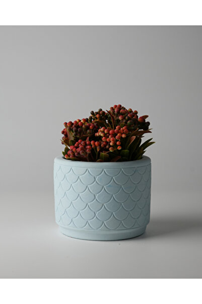 Kaju Creative Dekoratif Beton Saksı - Balık Pulu 8x10 0.25L Küçük Boy Saksı