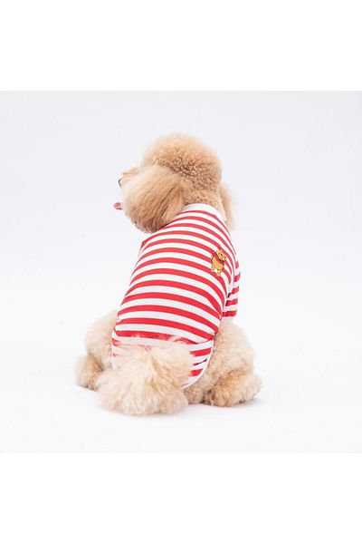 Pawstar Winnie Cat Dog Sweati - Cat Dog Outfit