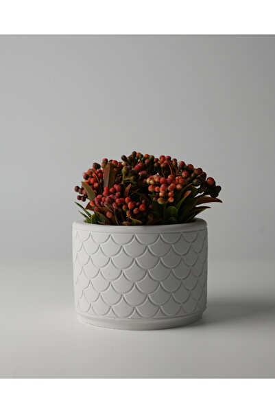 Kaju Creative Dekoratif Beton Saksı - Balık Pulu 8x10 0.25L Küçük Boy Saksı