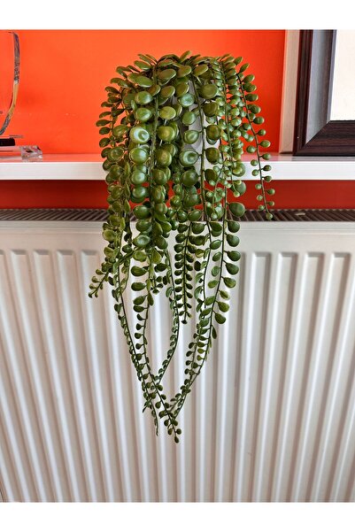 618 CONCEPT اللبلاب الاصطناعي