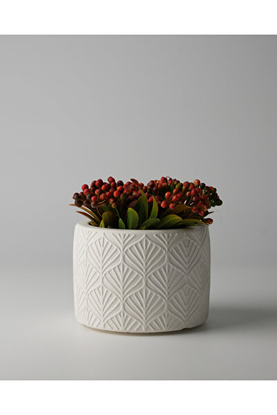 Kaju Creative Dekoratif Beton Saksı - Yaprak Desenli 8x10 0.25L Küçük Boy Saksı