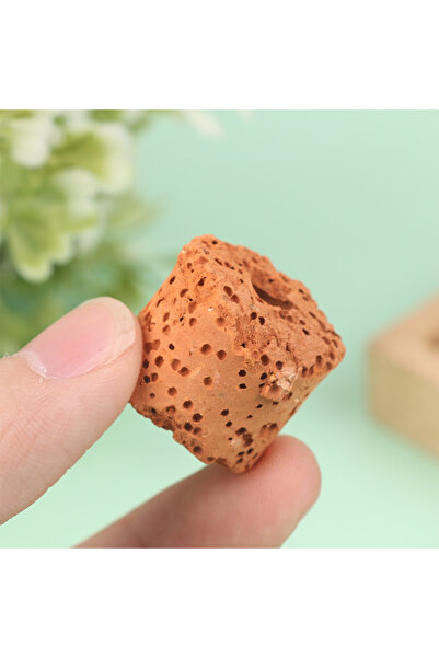 Choice 10 قطع 10 قطع حلقات نباتات حوض السمك الثابتة فلتر خزان المياه حامل أوز...