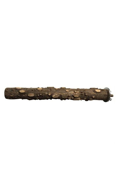 Choice 10cm 10/15/20cm Birds Accessories Equipment for Parrots Supplies Pet Raw Wood Tree Branch Stand Rack