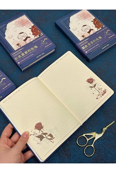 Kağıt Gemi Dükkan Özel Tasarım Küçük Prens Mavi Renk Defter / Notebook/ Bullet Journal