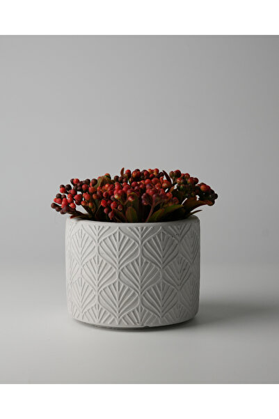 Kaju Creative Dekoratif Beton Saksı - Yaprak Desenli 8x10 0.25L Küçük Boy Saksı